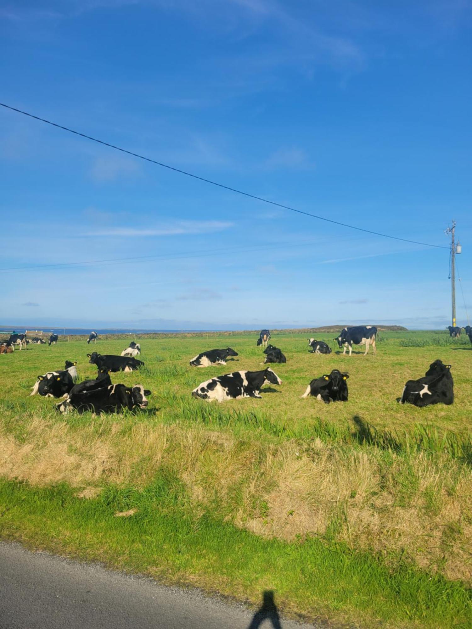 Coastal View Cottage Mullagh  エクステリア 写真
